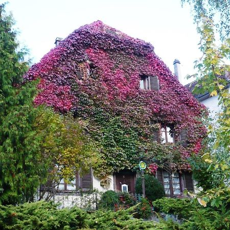 B&B De Charme La Maison Des 5 Temps Ferrette Екстер'єр фото