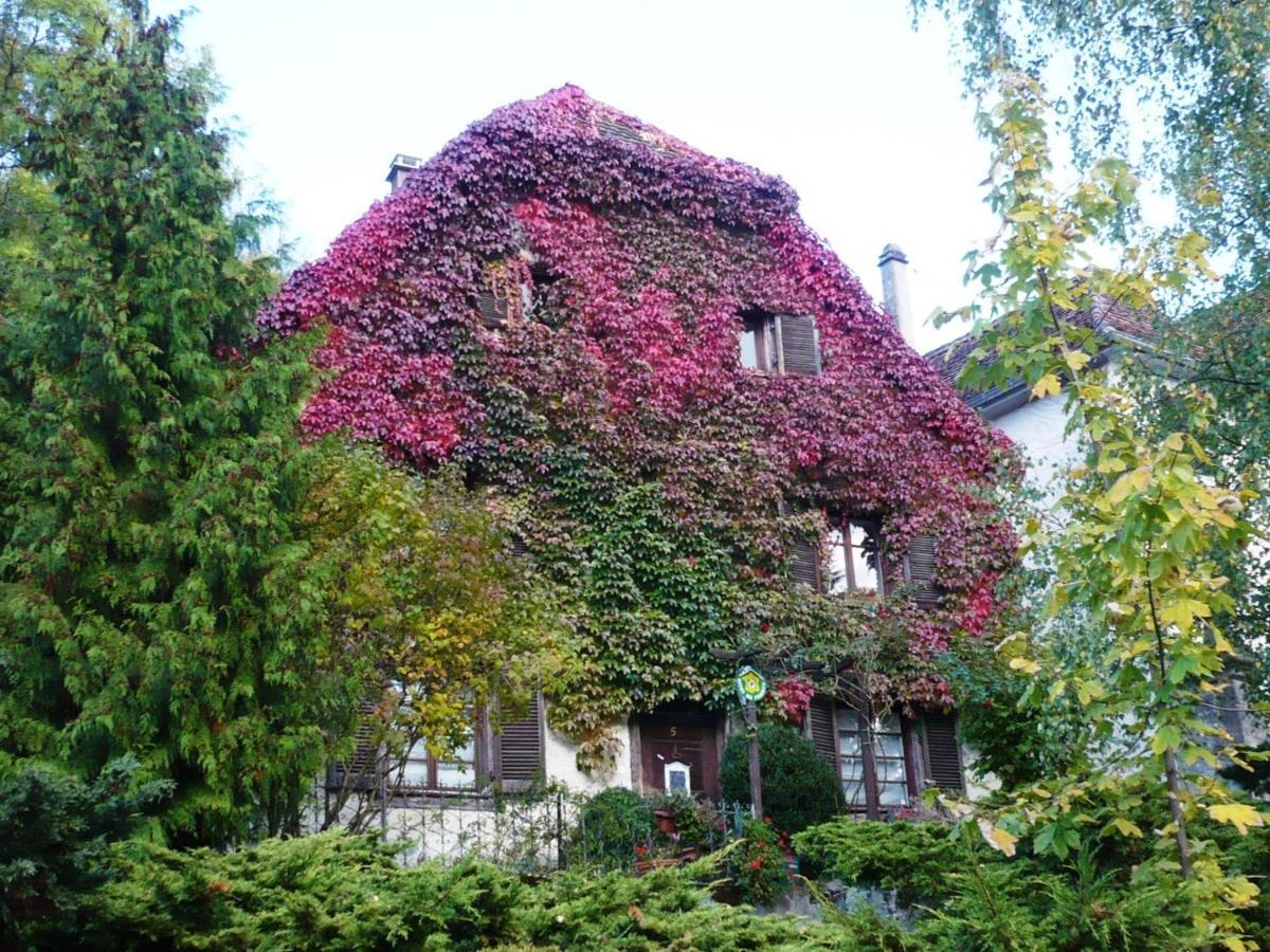 B&B De Charme La Maison Des 5 Temps Ferrette Екстер'єр фото