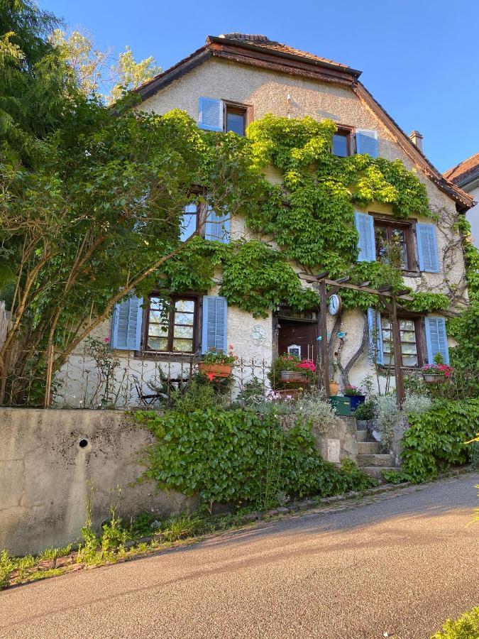 B&B De Charme La Maison Des 5 Temps Ferrette Екстер'єр фото
