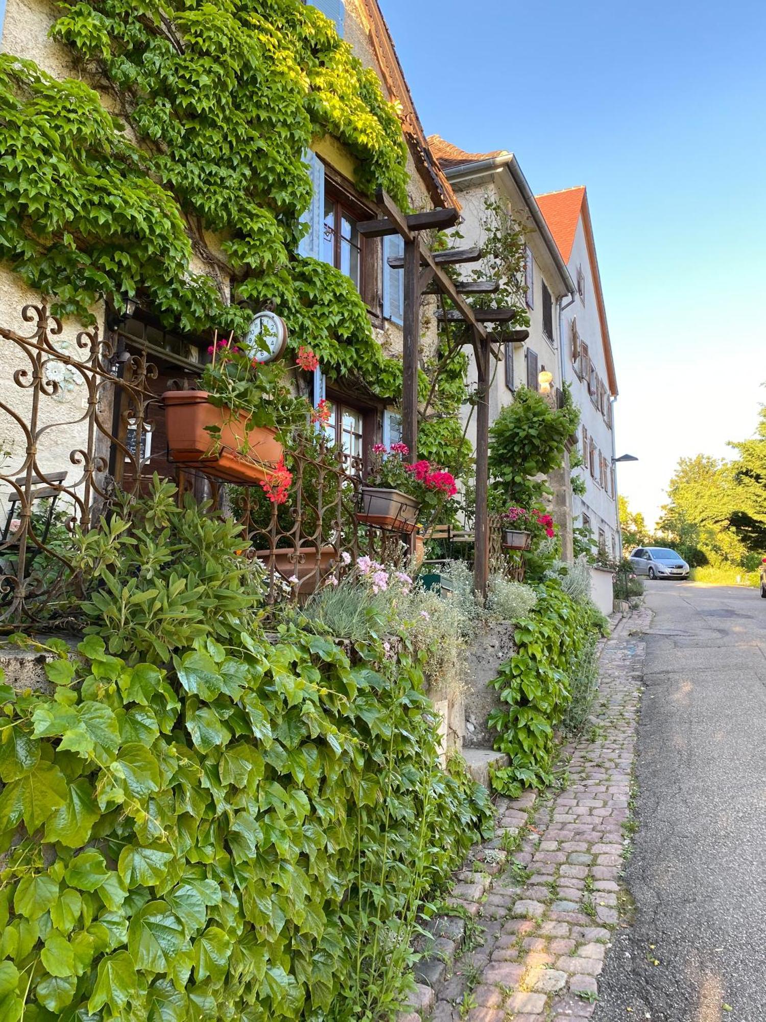 B&B De Charme La Maison Des 5 Temps Ferrette Номер фото
