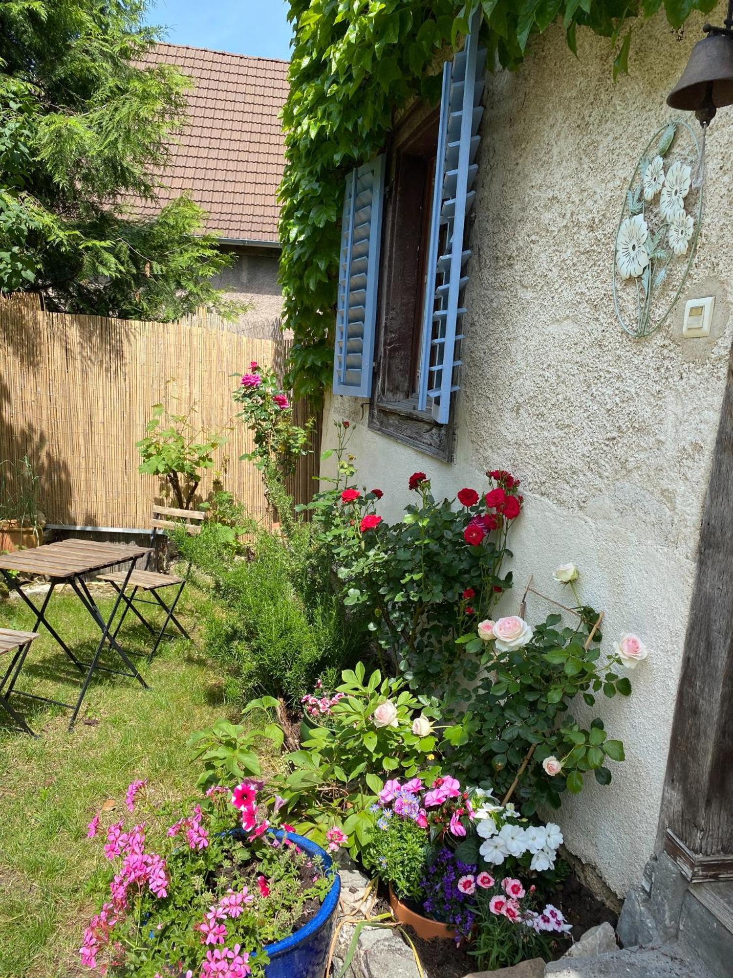 B&B De Charme La Maison Des 5 Temps Ferrette Номер фото