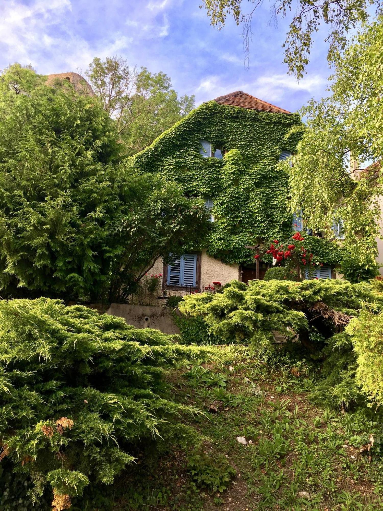 B&B De Charme La Maison Des 5 Temps Ferrette Екстер'єр фото